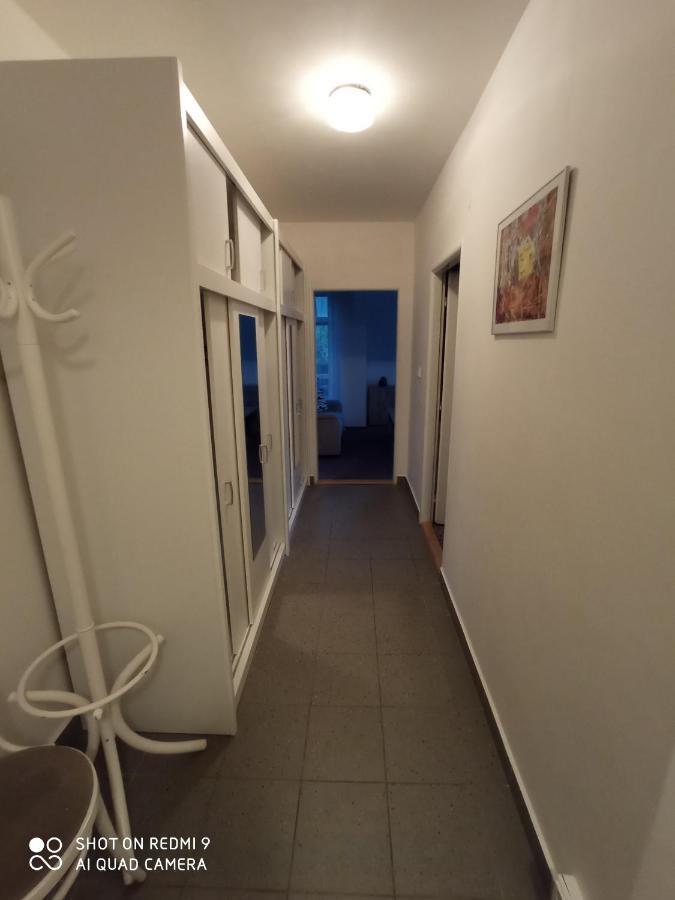 Apartman Violeta Гаррахов Экстерьер фото